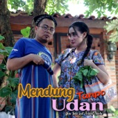 Mendung Tanpo Udan (feat. Fendik Adella) artwork