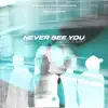 Never See You (feat. Liam Sturgess) - Single album lyrics, reviews, download