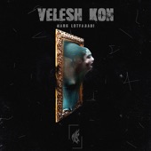 Velesh Kon artwork