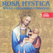 Rosa mystica artwork