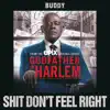 Shit Don't Feel Right (feat. Buddy) - Single album lyrics, reviews, download