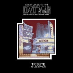 Live in Concert 1973: The Fourth Night at Madison Square Garden (Tribute to Led Zeppelin)