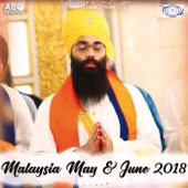 Malaysia May & June 2018 Tour artwork
