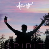 Spirit artwork