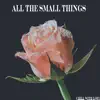 All the Small Things - Single album lyrics, reviews, download