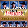 Grupo Aparecido - Güerita de Pelo Chino