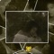 Gold Ain't Cheap (feat. The Teeta) - Mike Melinoe lyrics