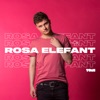 Rosa Elefant - Single