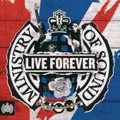 Live Forever - Ministry of Sound artwork