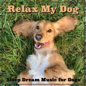 Relax My Dog: Sleep Dream Music for Dogs artwork