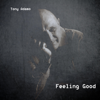 Feeling Good (Remix) - Tony Adamo