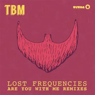 Are You With Me (Harold van Lennep Piano Edit) by Lost Frequencies song reviws