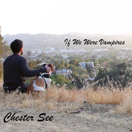 Cover artwork for If We Were Vampires
