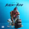 Back In My Bag - Single album lyrics, reviews, download