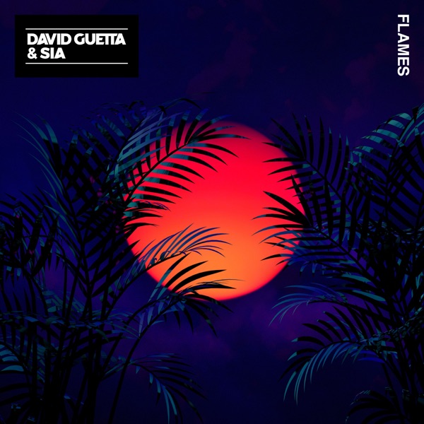 Flames - Single - David Guetta & Sia