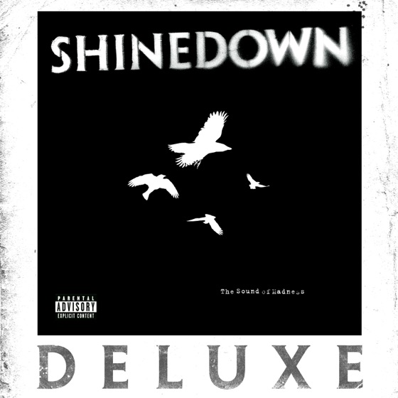 Cover artwork for Second Chance (Acoustic Version)