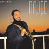 Day By Day - Najee