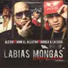 Labias Mongas (Remix) [feat. Gigolo Y La Exce & Alexio La Bruja] - Single album lyrics, reviews, download