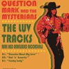 The Luv Tracks - Single