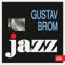 Stříbrný Pavouk - Gustav Brom & Orchestr Gustava Broma lyrics
