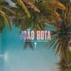 João Bota - O que é que queres dizer?