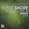 Silent Shore Selections Top 20: Spring 2018, 2018