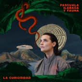 La Curiosidad artwork