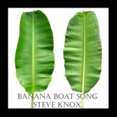 Banana Boat Song (2021) artwork