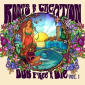 Roots of Creation - Soulshine (feat. Brett Wilson, Pdubz13 & DELA)