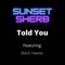 Told You (feat. Black Hawse) - Sunset Sherb lyrics
