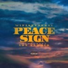 Peace Sign (feat. YBN Nahmir) - Single, 2019
