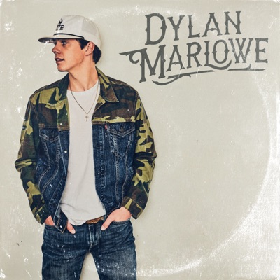 Drivers License - Dylan Marlowe | Shazam