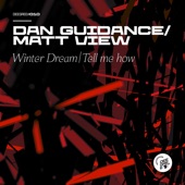 Dan Guidance - Winter Dream