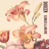 Doreen - Single album lyrics, reviews, download