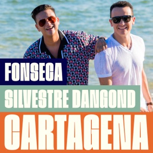 Fonseca & Silvestre Dangond - Cartagena - 排舞 音乐