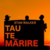 Tau Te Marire / Take It Easy artwork