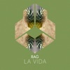 RAG - La Vida (Extended Mix)