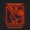 Shakira Pt. 2 (feat. Charles Infamous & Michael Minelli) - Single