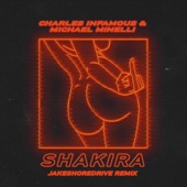 Shakira Pt. 2 (feat. Charles Infamous & Michael Minelli) artwork