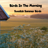 June 3rd Morning Birds - Birds in the Morning