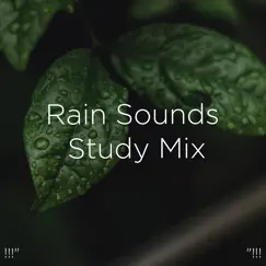 Rain Sounds for Sleeping Song Lyrics