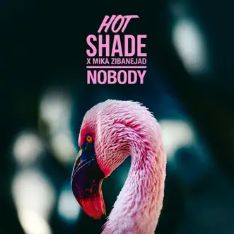 Nobody - Single by Hot Shade & Mika Zibanejad album reviews, ratings, credits