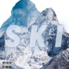 Ski (Remix) [Remix] - Single