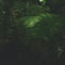 Blossom - Chinsaku lyrics