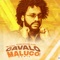 Cavalo Maluco (Remix) artwork