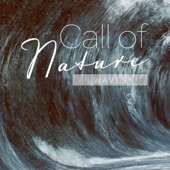 Mark Wayne - Call of Nature_Waves, Pt. 11