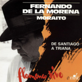 De Santiago a Triana: Flamenco Vivo - Fernando De La Morena & Moraíto
