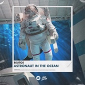 Astronaut in the Ocean artwork