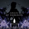 Angel of Darkness cover