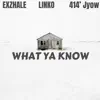 What Ya Know (feat. Linko & 414' Jyow) - Single album lyrics, reviews, download